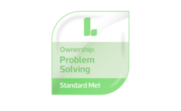 problem solving v3 (002).png