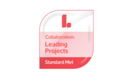 leading_projects v3.jpg
