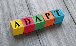 Adapt.jpg