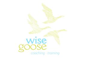 Wise Goose